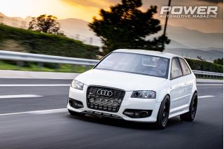 Audi S3 8P 2.0TFSI 1.064wHp